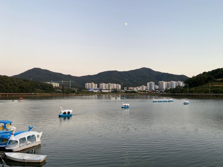  바람쐬기 좋은 백운호수 제방공영주차장 오리배 가격