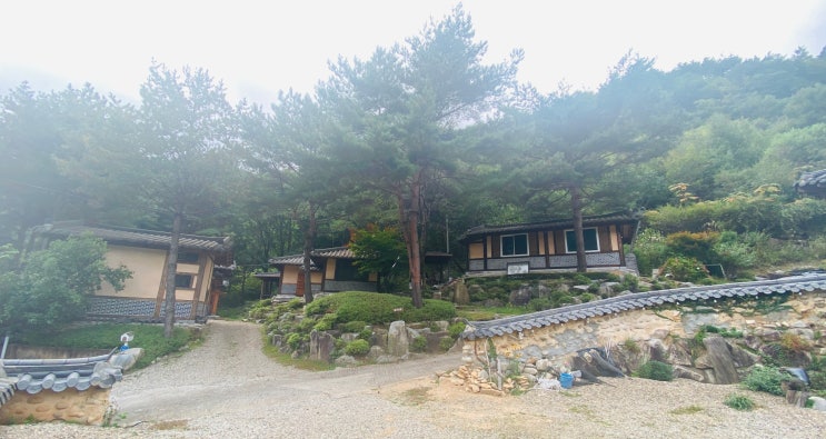  _ 좋았당~근 평창 숙소 펜션 강원도 금당 금당한옥펜션 _