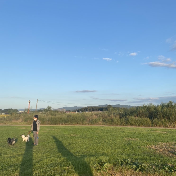  즐거운 추석 보내세요~~