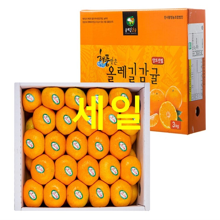  소개상품 GAP 인증 올레길 당도선별 하우스감귤 선물세트 가성비 훌륭