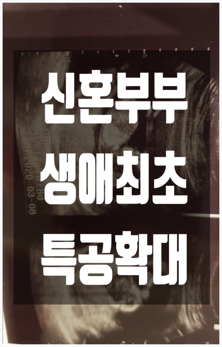 2020 신혼부부에 '생애최초' 합치면 청약 소득기준 더 우대/기준,조건 총정리 2020 신혼부부에 '생애최초' 합치면 청약 소득기준 더 우대/기준,조건 총정리
