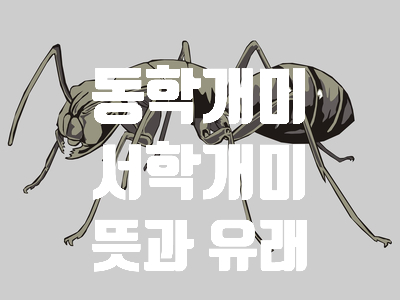  서학개미 뜻 동학개미 뜻
