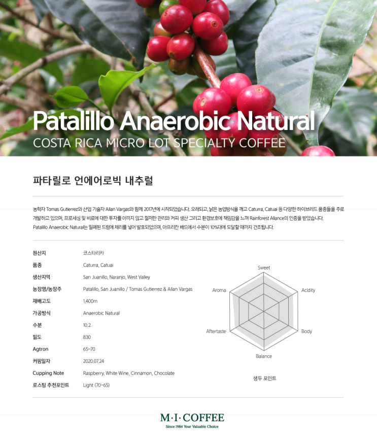 [스페셜티 커피 즐기기] 코스타리카 파타릴로 언에어로빅 내추럴 후기