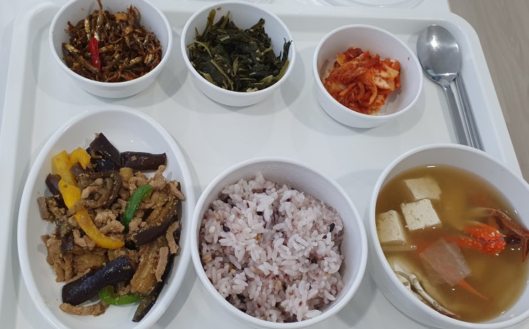 음주운전 교통사고 피해자 사건진행2(입원치료) 음주운전 교통사고 피해자 사건진행2(입원치료)
