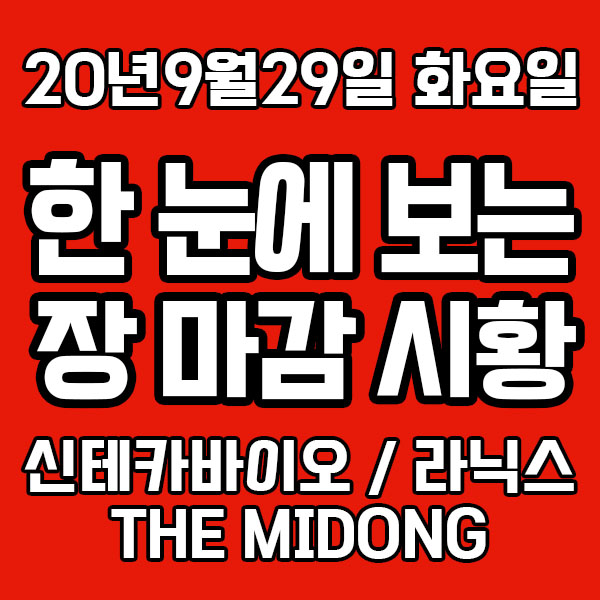 [시황] 20년9월29일 화요일 신테카바이오 라닉스 THE MIDONG