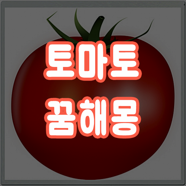  토마토꿈 토마토먹는꿈 토마토보는꿈 해몽 알아보기
