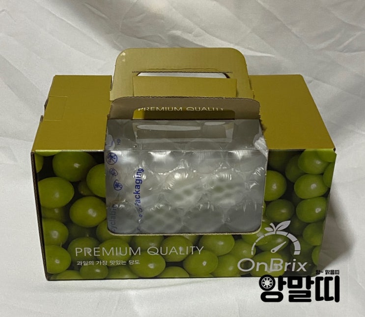  카카오톡 선물하기 : 카카오톡 선물하기로 받은 샤인머스캣 맛보기!