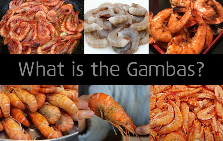  감바스(gambas) 뜻 정확히 아시나요?