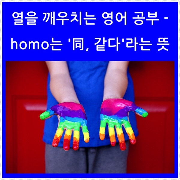 열을 깨우치는 영어 공부 - homo는 호모? 더 큰 뜻은 '同, 같다'