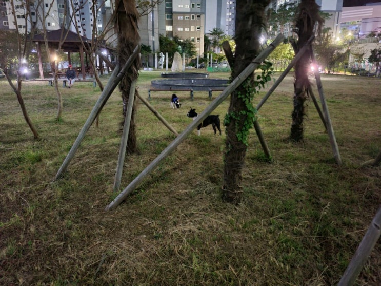  선선한 동네 밤산책