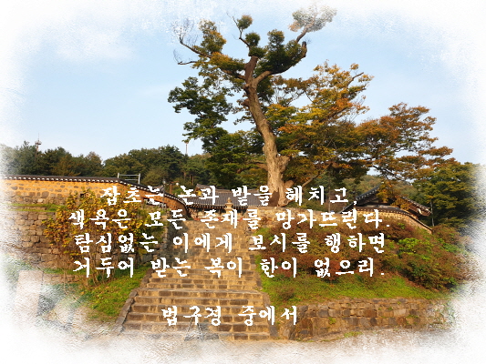  법구경