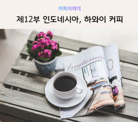  [커피공부]제12부 인도네시아, 하와이, 자메이카 커피 특징