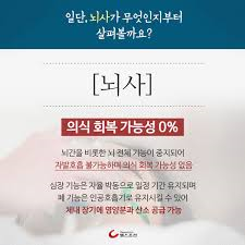 한국장기기증현황 세계국가와비교 문제점활성화: 장기기증이식부족 해결방안