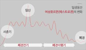 여성갱년기증후군 폐경위험나이시기: 갱년기폐경증상 여성호르몬감소 조기폐경영양제 여성갱년기증후군 폐경위험나이시기: 갱년기폐경증상 여성호르몬감소 조기폐경영양제