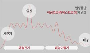 여성갱년기증후군 폐경위험나이시기: 갱년기폐경증상 여성호르몬감소 조기폐경영양제