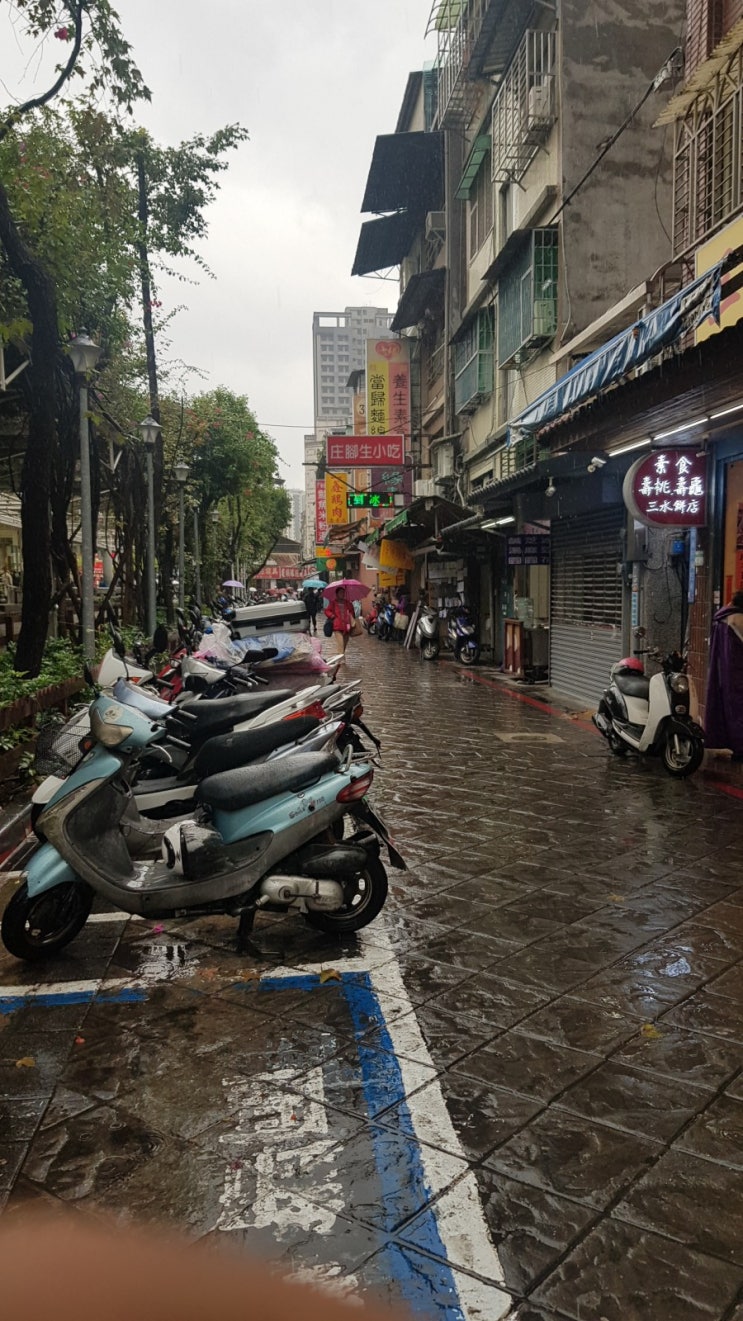  대만여행필수사전정보1-계절별/지역별 날씨를 알아보자