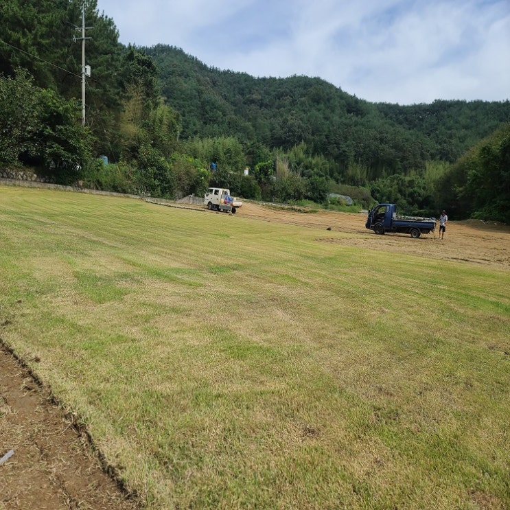  충남 당진 잔디 배송했어요