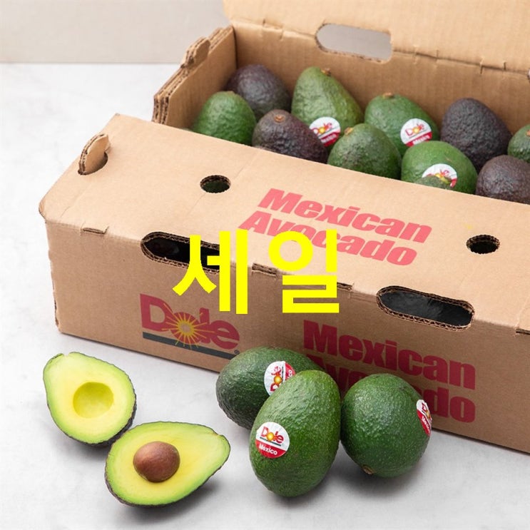  핫딜정보 아보카도! 진심을 다하는 리뷰