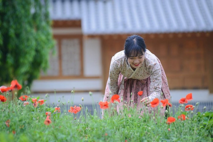 충청남도 공주 여행, 가볼만한 곳 5곳