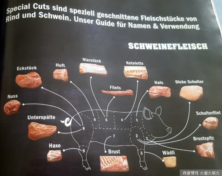 [독일어공부] #5 돼지고기 부위별 독일어 단어 정리 (+요리 팁)