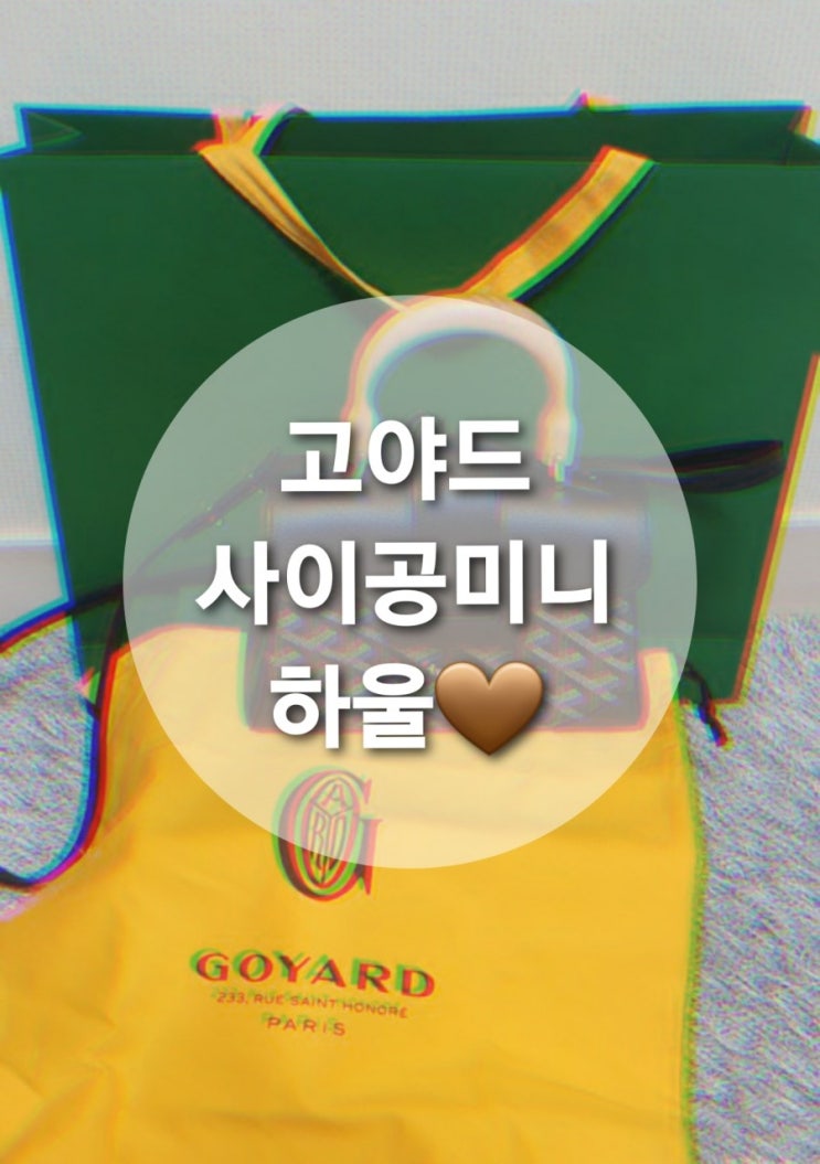  고야드 사이공 미니 (GOYARD Saigon Mini) 하울