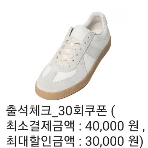 힙합퍼 4만원 미만 상품 50% 쿠폰 적용 방법 (feat. 다온아토 독일군 50% 적용)