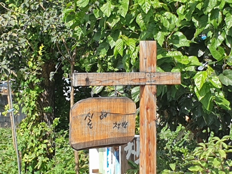  [춘천 독립서점 실레책방] 주인장의 따뜻한 차 한 잔에 반한 방문기!!