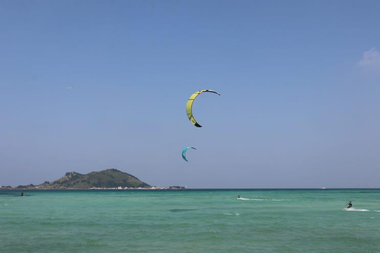  제주도 애견동반여행 필수코스 금능해수욕장