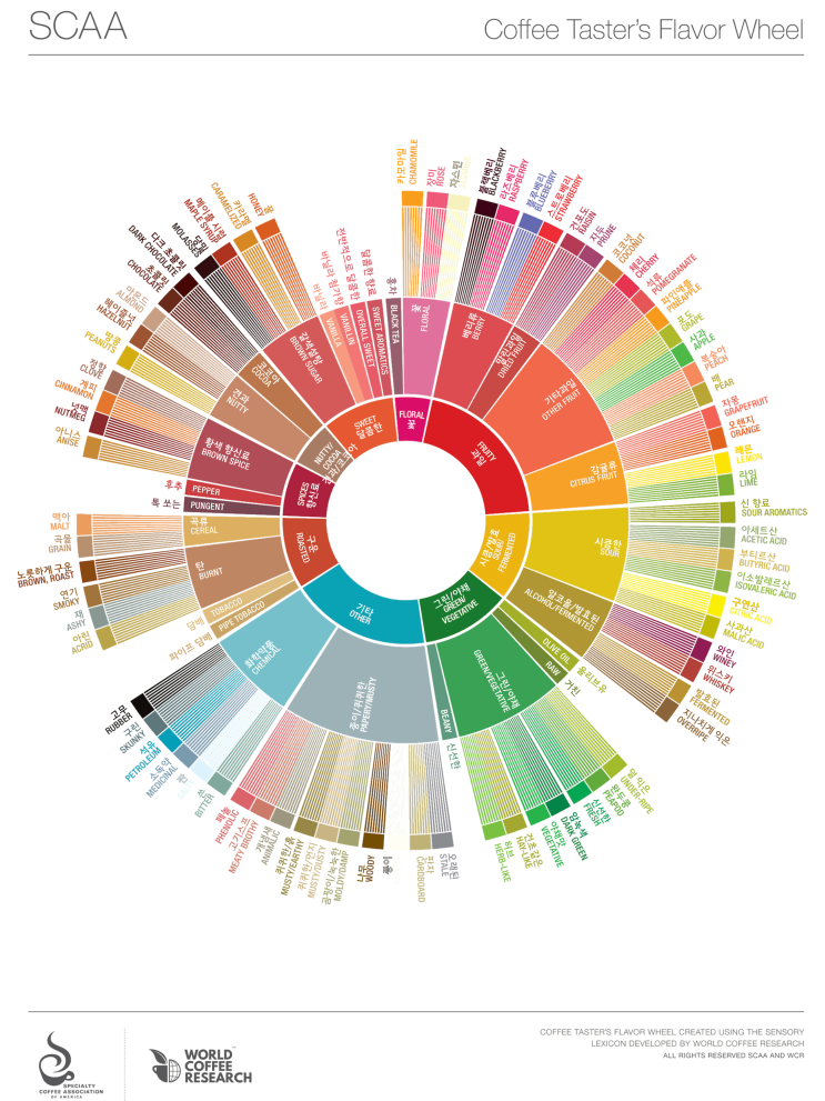 커피는 쓰다? 향미평가 커핑하는 법에 대해서 알아보자