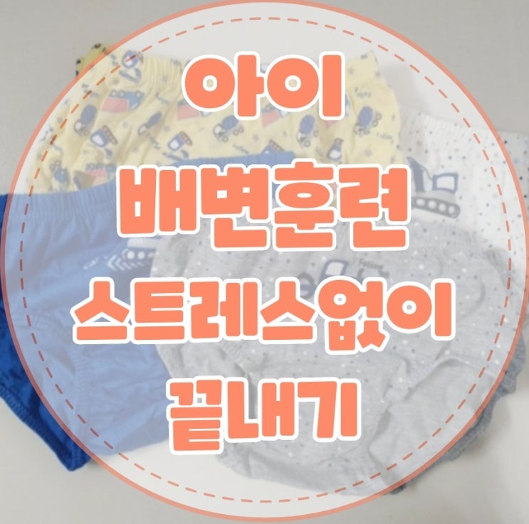 배변훈련,시기,팬티종류 등 아이 스트레스 없이 3일만에 성공한 방법공유해요
