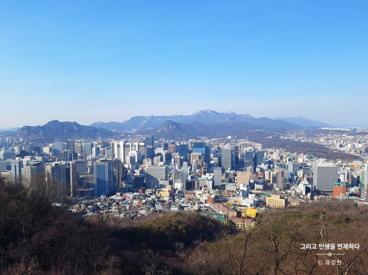  <인생화, 그리고 인생을 연재하다 175> 27화 - 별이 쏟아진 밤
