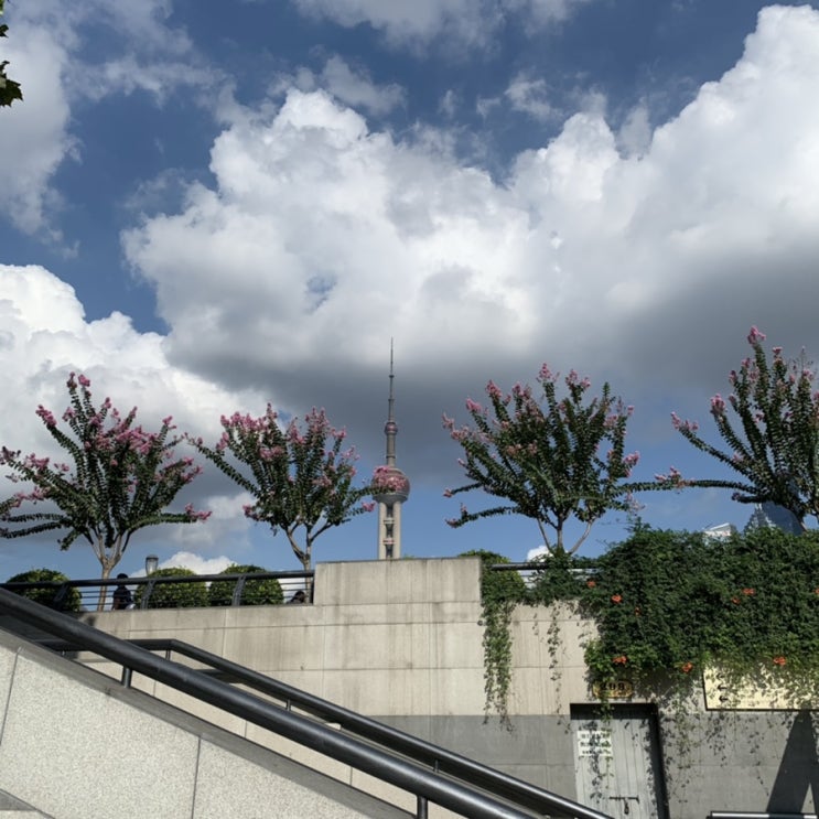  [상해일상]중국인 친구와 와이탄 나들이, 언제가도 좋은 치바오 수향마을, 시작된 국경절 휴일️