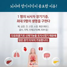 뇌사기준조건 뇌사종류판정절차 장기이식토론: 1차조사2차조사 판정위원회 뇌사기준조건 뇌사종류판정절차 장기이식토론: 1차조사2차조사 판정위원회