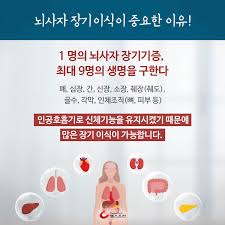 뇌사기준조건 뇌사종류판정절차 장기이식토론: 1차조사2차조사 판정위원회