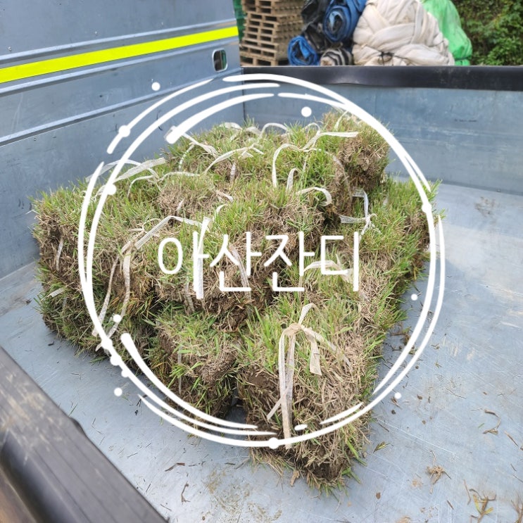  충남 아산 잔디 배송했어요