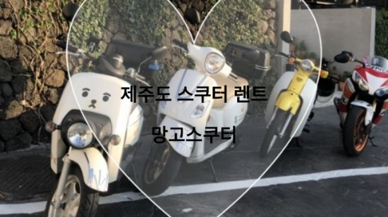  제주도스쿠터맛집_ 망고스쿠터