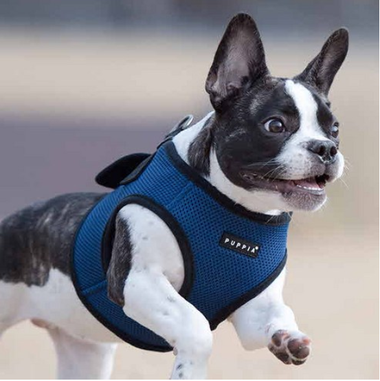  목이 편한 소프트 하네스