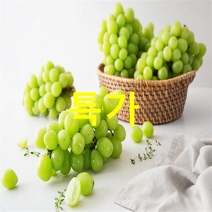  09월 30일자 기획상품 농협 영동 GAP 샤인머스캣 이용해보세요!
