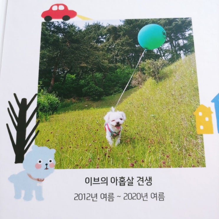  추석맞이 '이브'의 9살견생 앨범이 도착했어요!