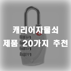  외국에서 캐리어 관리는 철저해야 합니다