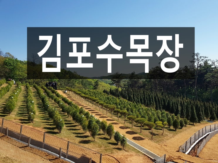  김포수목장에서 깔끔하고 저렴하게 모실 수 있습니다.