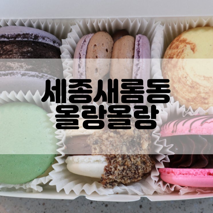  (세종마카롱추천) 귀여운 인스타감성 세종마카롱카페 올랑올랑
