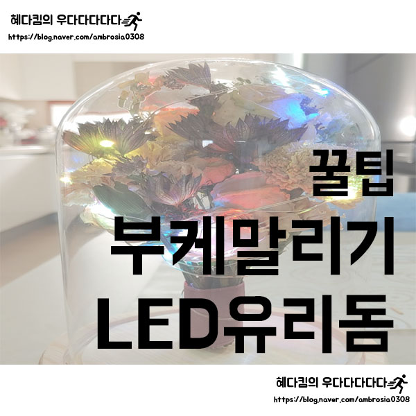 [꿀팁]부케말리기/드라이플라워 만들기/LED 유리돔