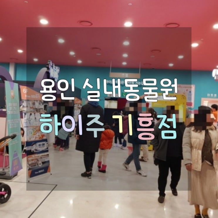  용인 실내 동물원 하이주 기흥점 비오는 날 가기 좋아요