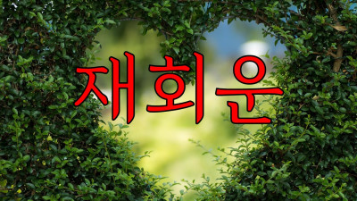  2020년 재회운 다시 만날수 있을까? 만약 만난다면 어떻게 해야할까? 