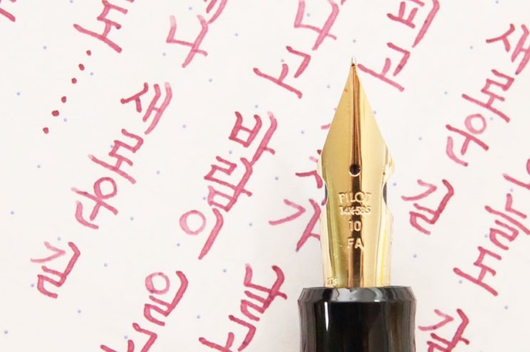  언제나 새로운 길 (파이롯트 커스텀 742 fa닙)