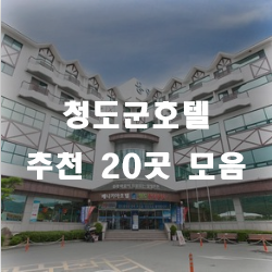  청도호텔 체크인은 어떠신가요~!?