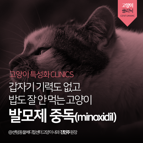 [고양이내과] 고양이 발모제 중독(minoxidil) 중독 - 갑자기 기력도 없고 밥도 잘 안 먹어요 (부산 연제구 거제동 연산동 동물병원)