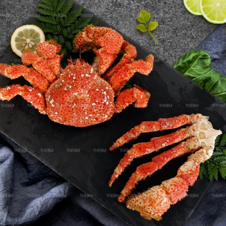   냉장배송 꽉찬속살 싱싱 남극 킹크랩 대형 700g 가위세트포함 