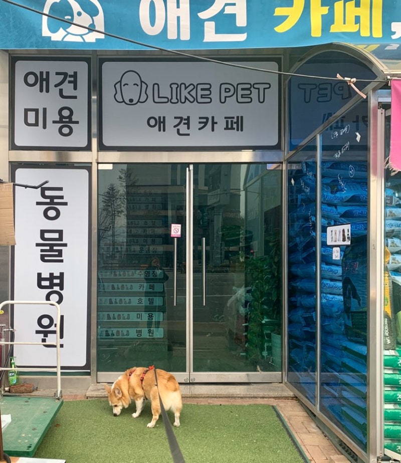 사진 3